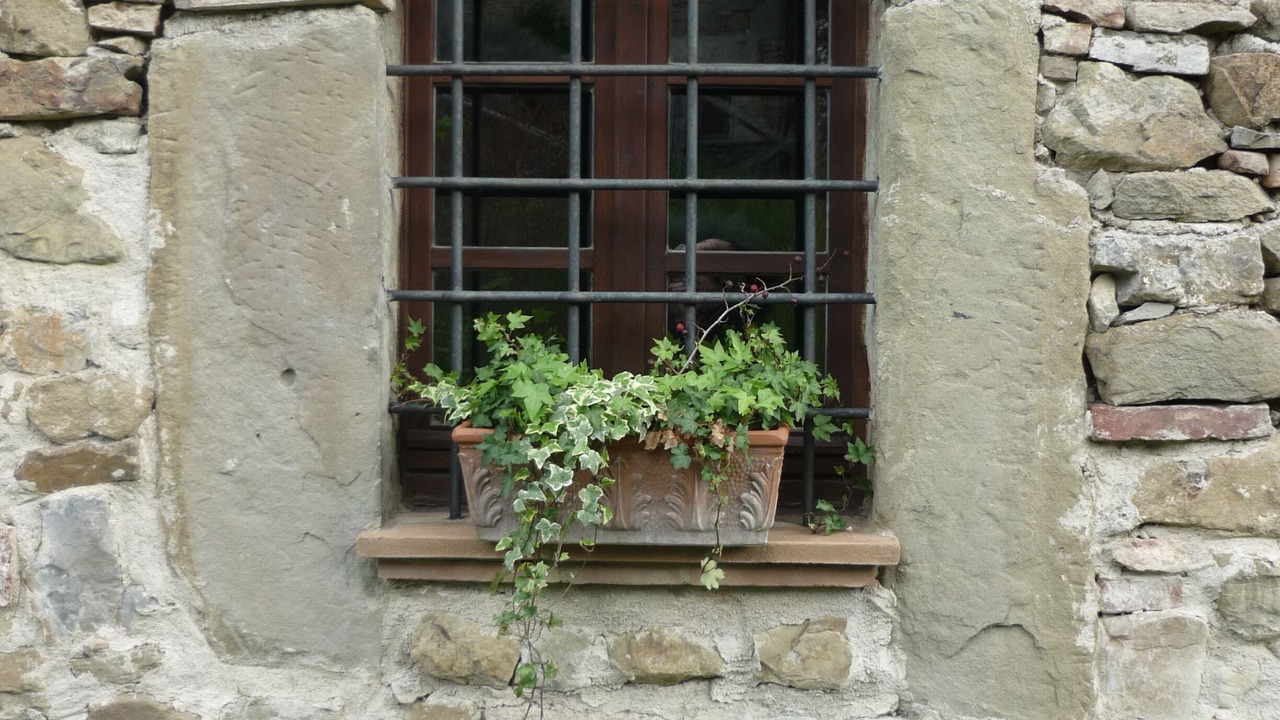 Photo of Outdoor in Piegaro