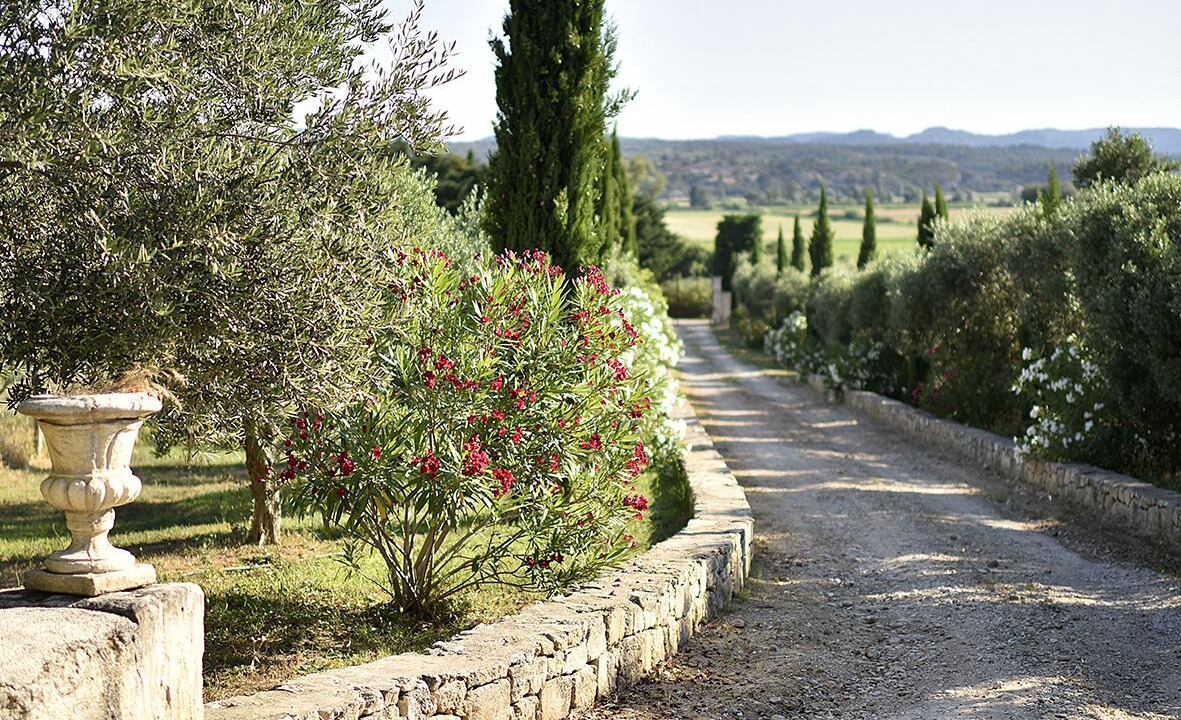 Photo of Outdoor in Arles