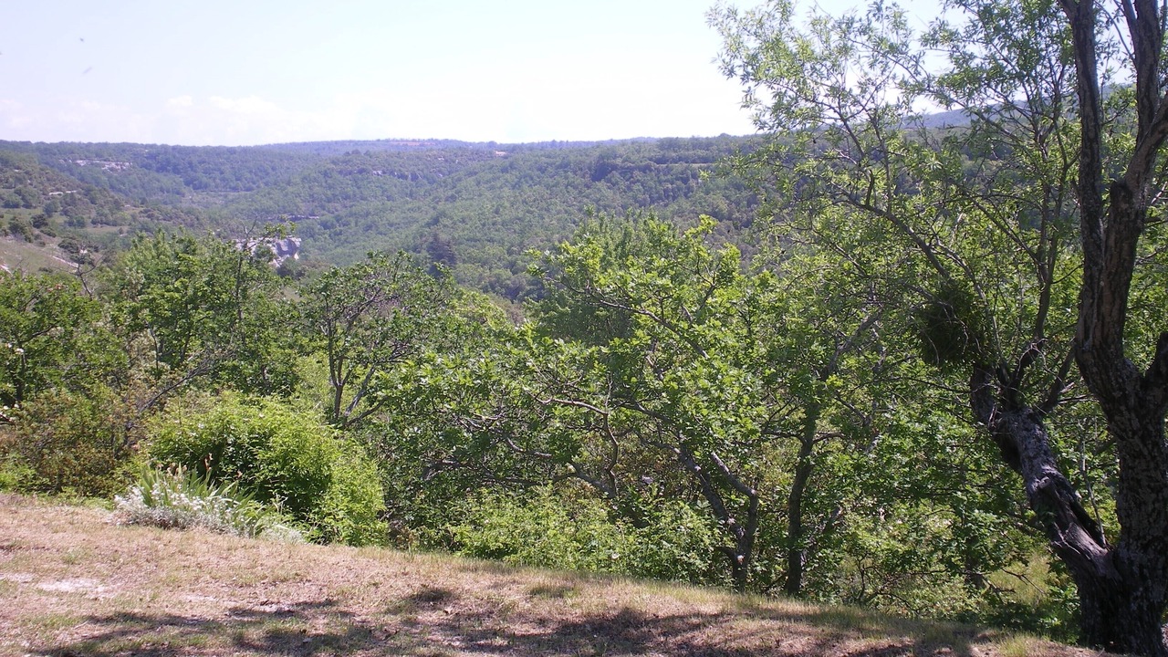 Photo of Outdoor in Buoux