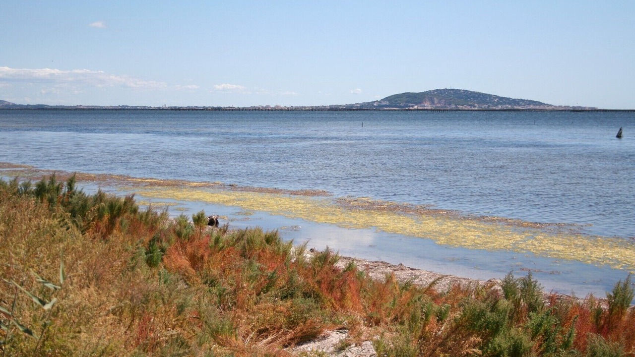 Photo of Others in Marseillan
