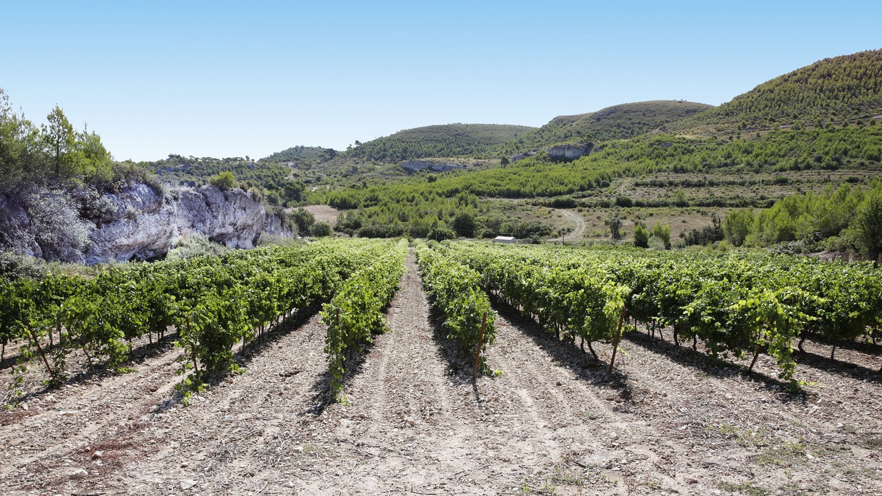 Photo of Outdoor in Ventabren