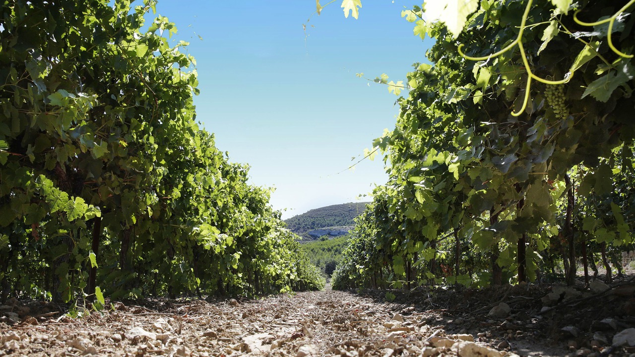 Photo of Outdoor in Ventabren