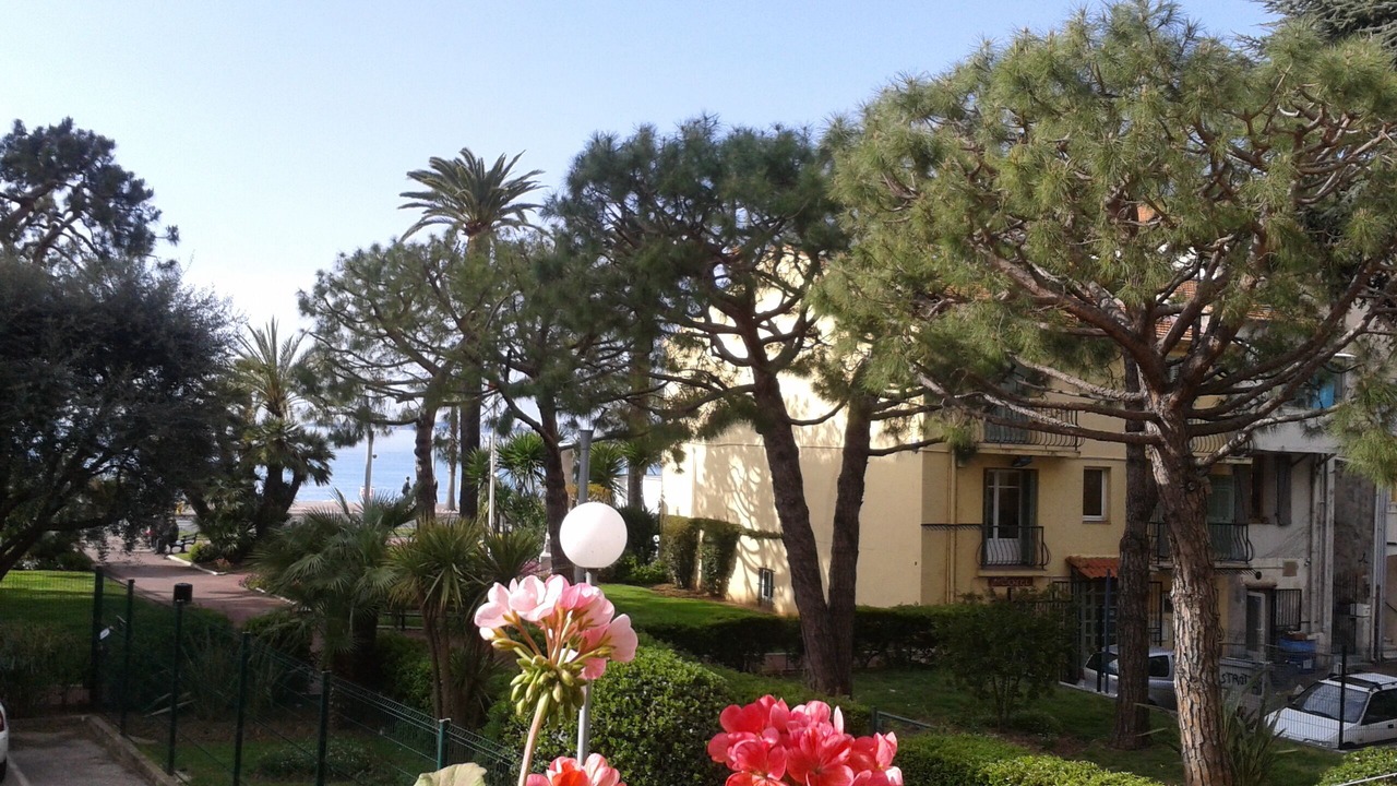 Photo of Outdoor in Cros-de-Cagnes