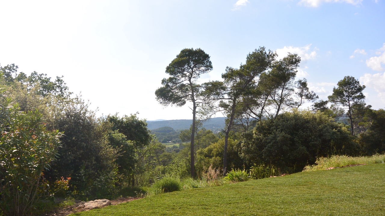 Photo of Outdoor in Lorgues