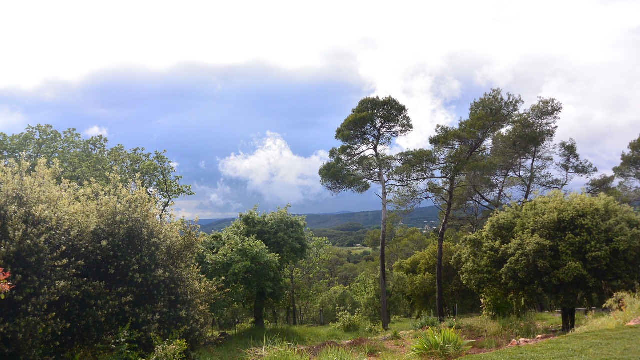 Photo of Outdoor in Lorgues