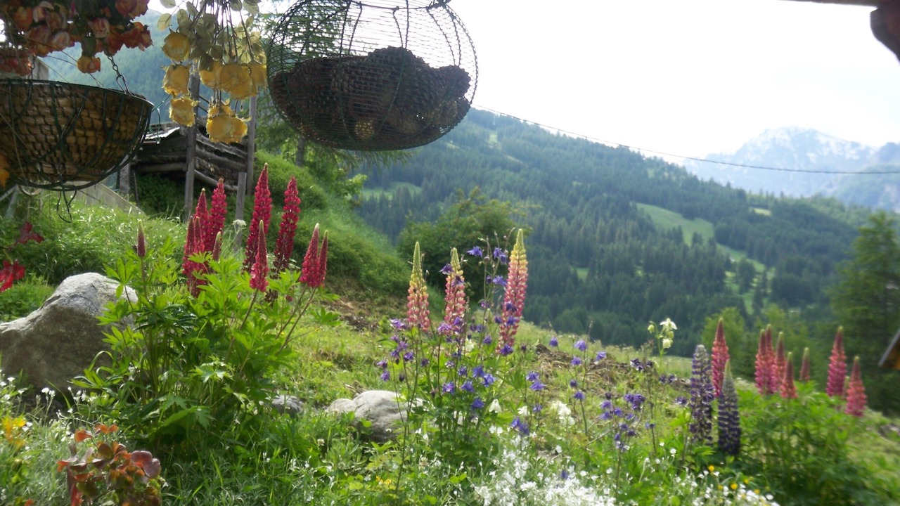 Photo of Outdoor in Molines-en-Queyras