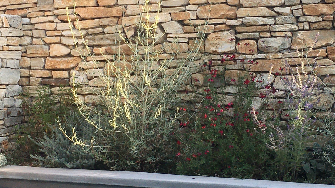Photo of Others in Saint-Martin-de-Castillon