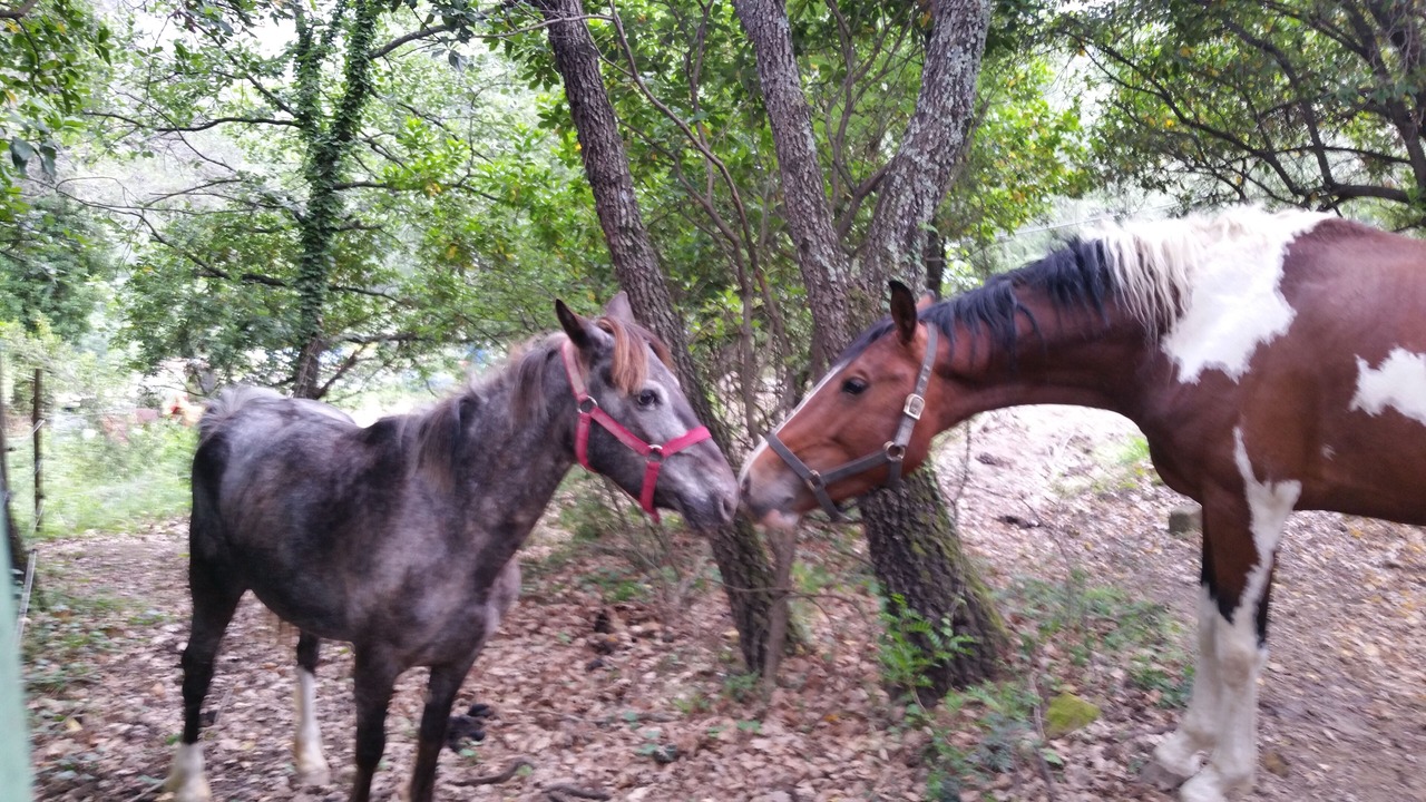 Photo of Outdoor in Contes