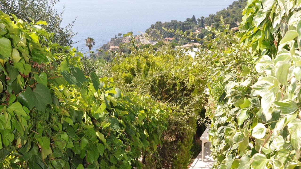 Photo of Outdoor in Eze
