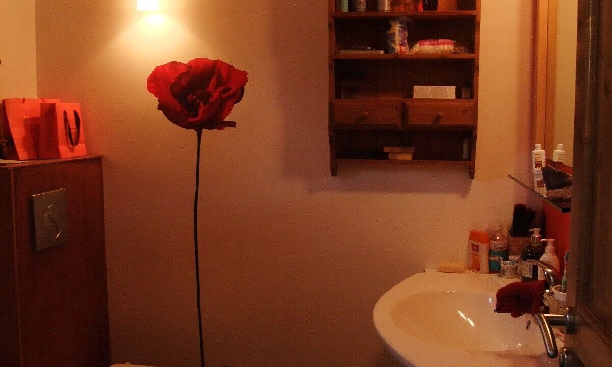 Photo of Bathroom in Saint-Come-et-Maruejols