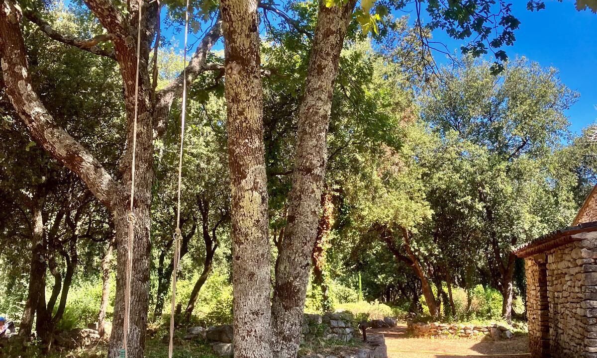 Photo of Outdoor in Bonnieux