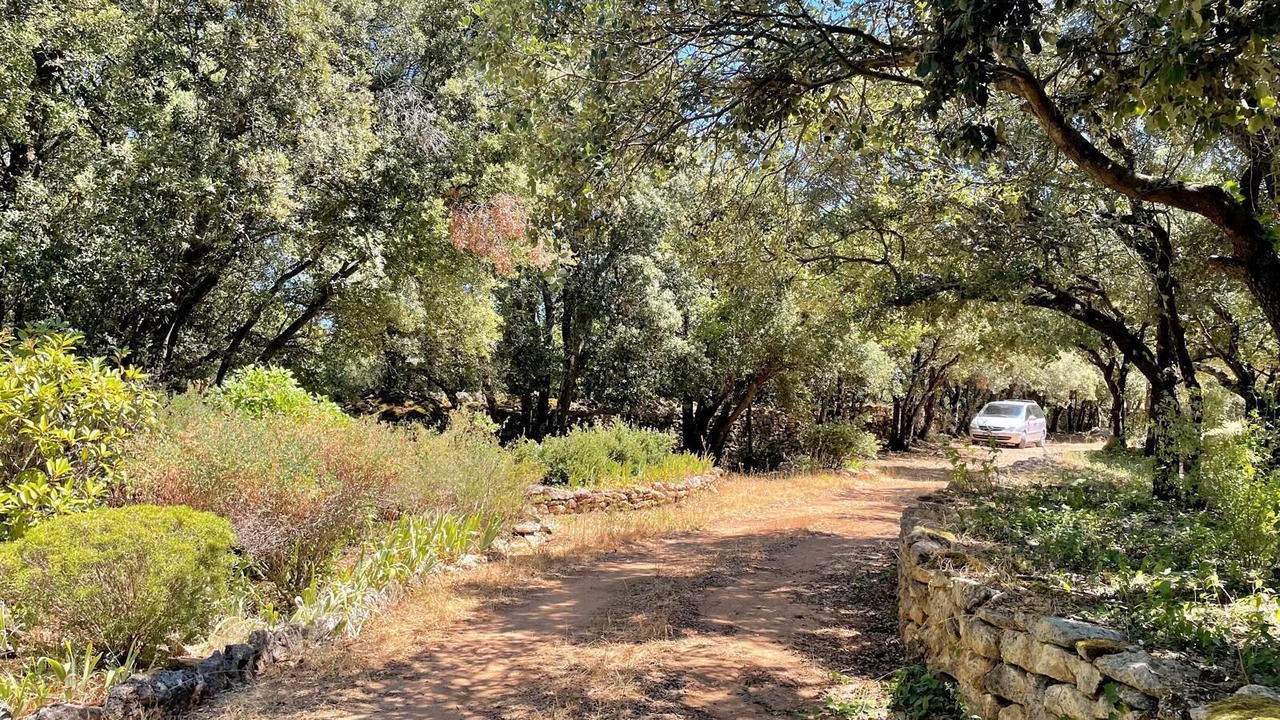 Photo of Outdoor in Bonnieux