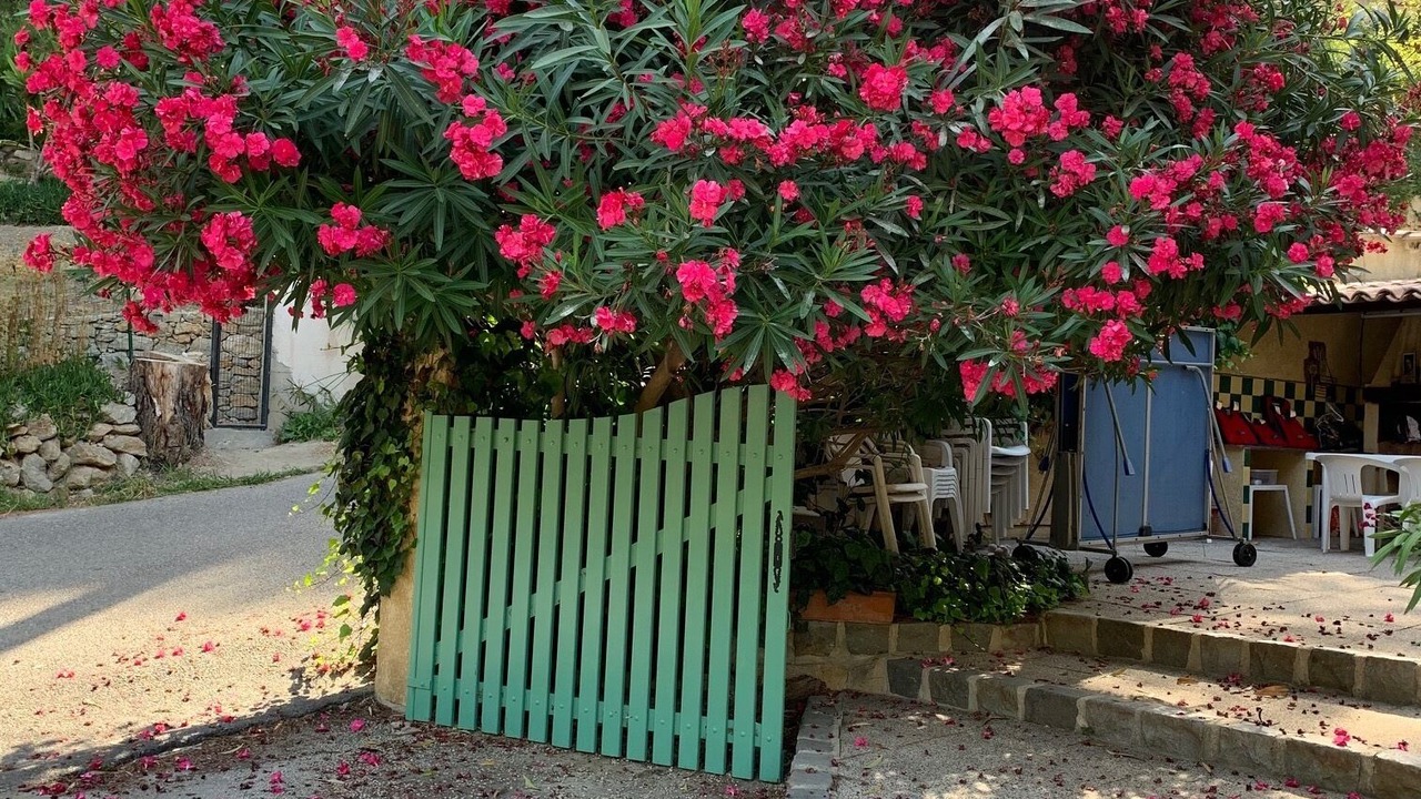 Photo of Outdoor in Ensues-la-Redonne