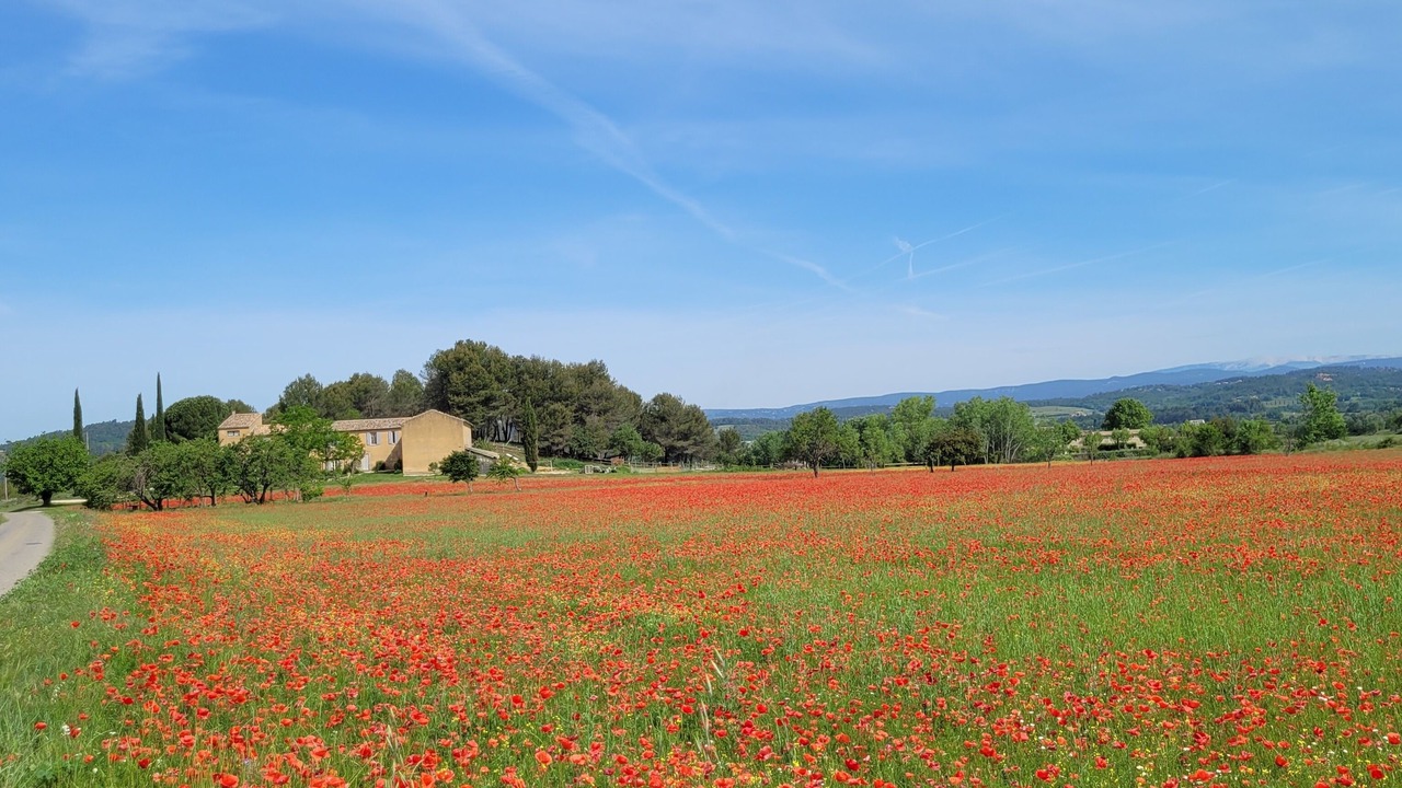 Photo of Outdoor in Bonnieux