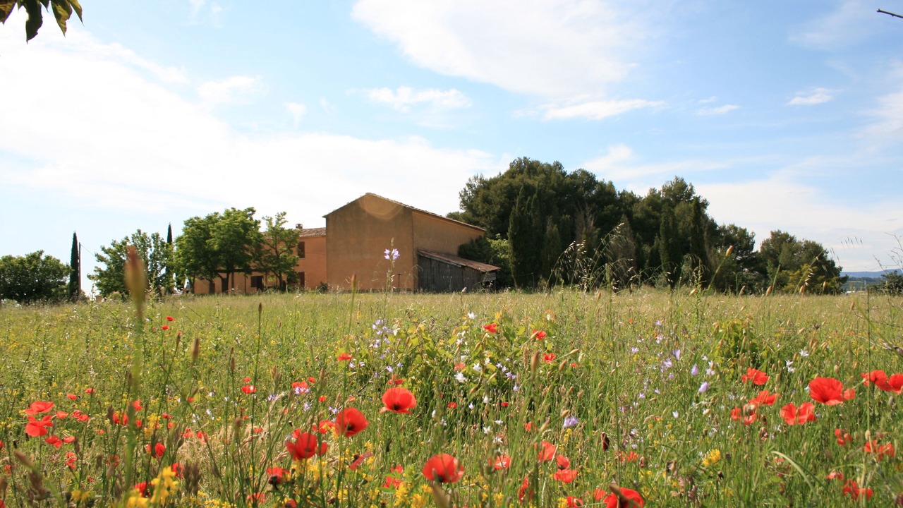 Photo of Outdoor in Bonnieux