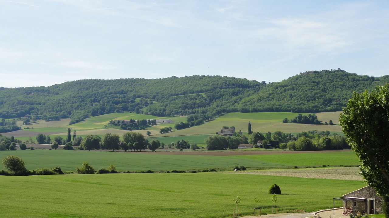 Photo of Others in Reillanne