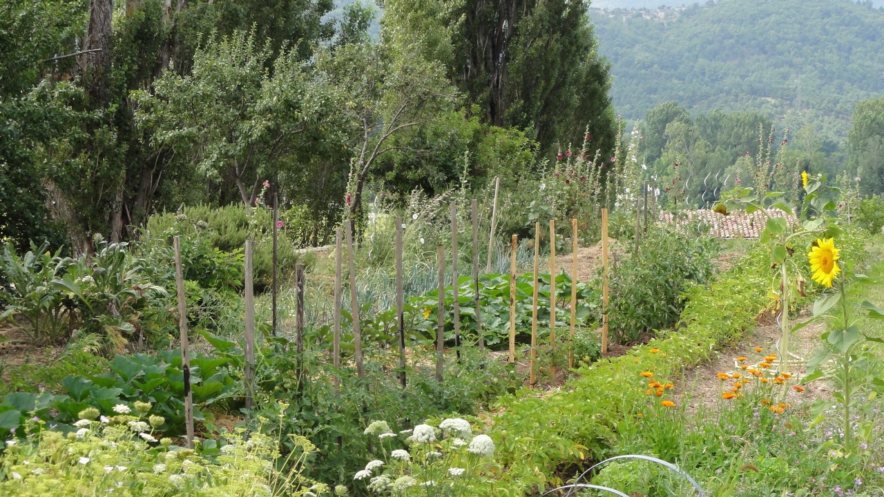 Photo of Outdoor in Reillanne