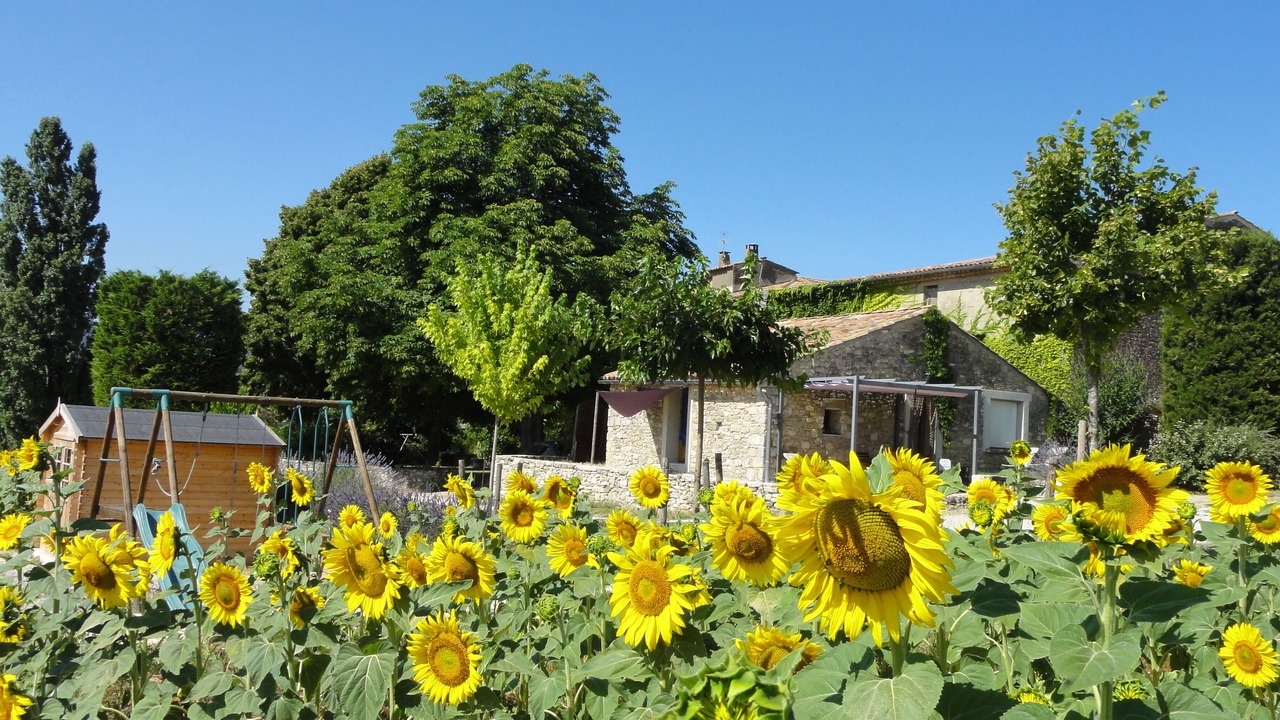 Photo of Outdoor in Reillanne