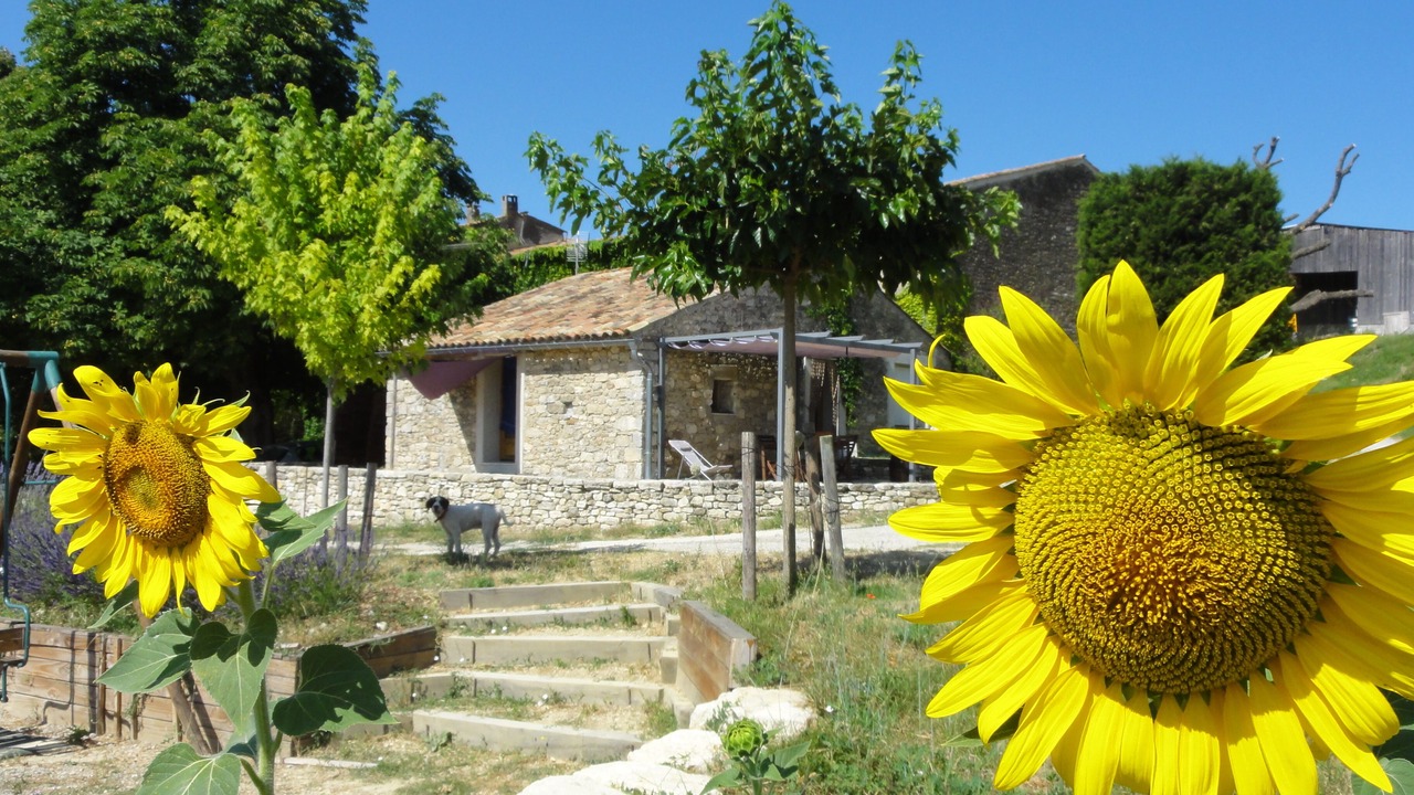 Photo of Outdoor in Reillanne
