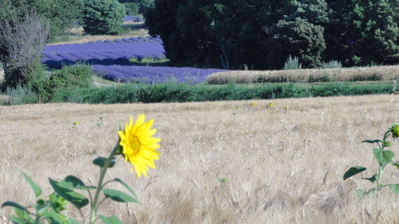 Photo of Outdoor in Reillanne