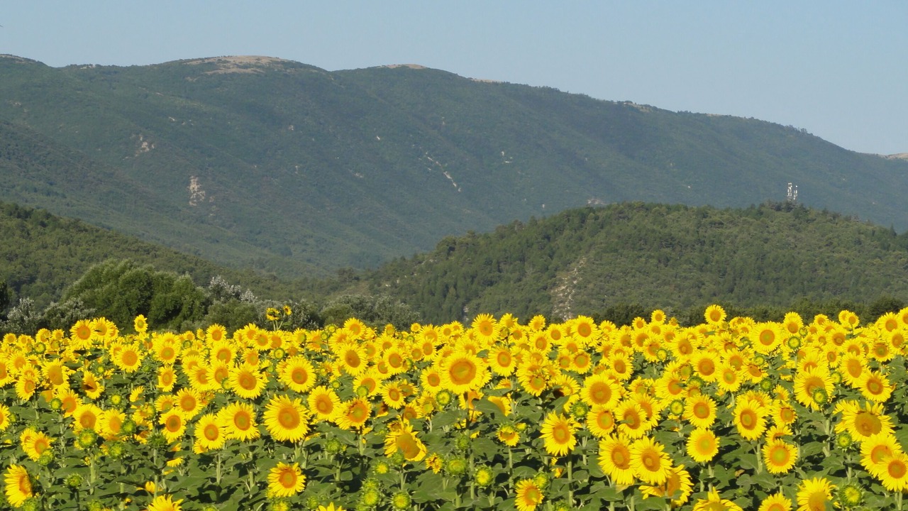 Photo of Outdoor in Reillanne