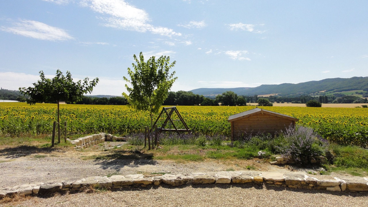 Photo of Outdoor in Reillanne