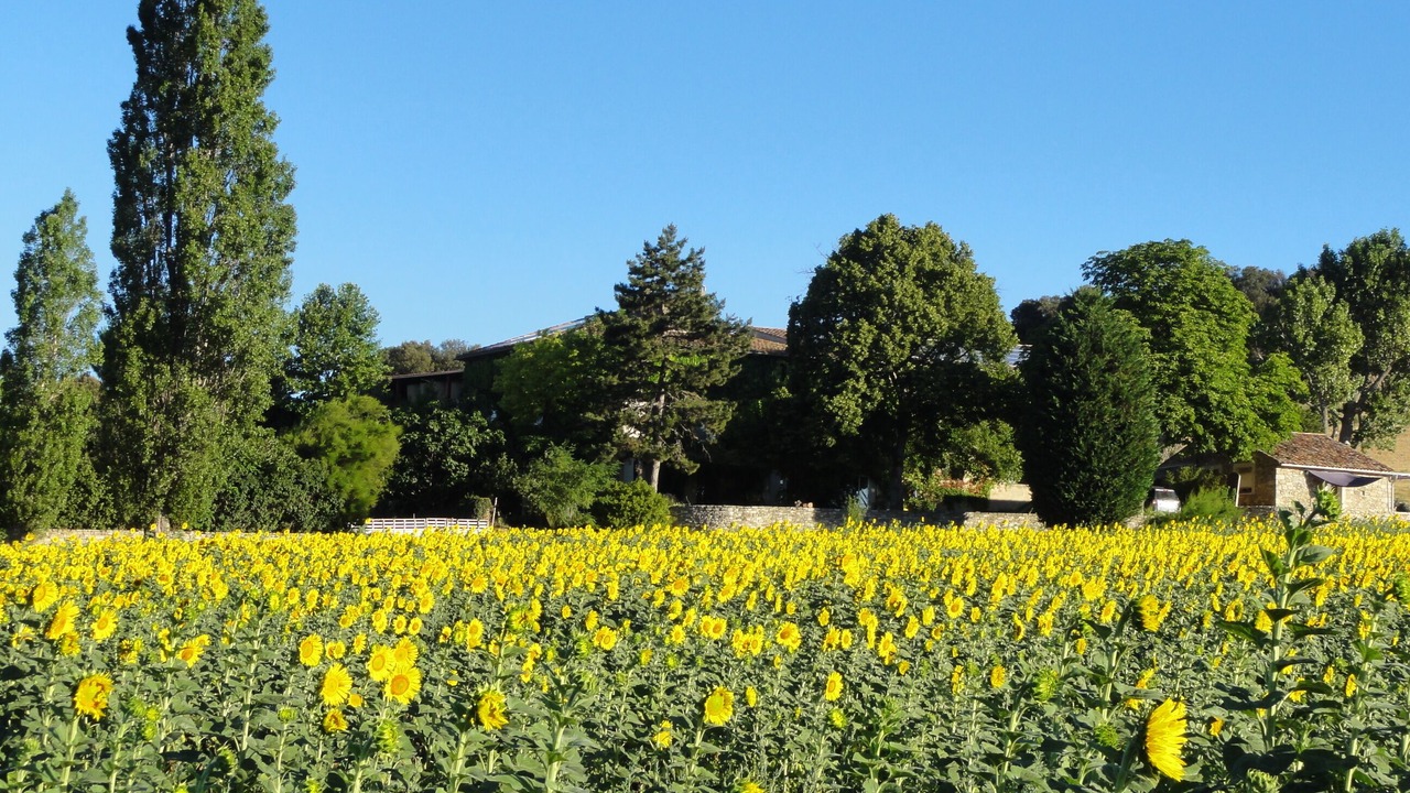 Photo of Outdoor in Reillanne
