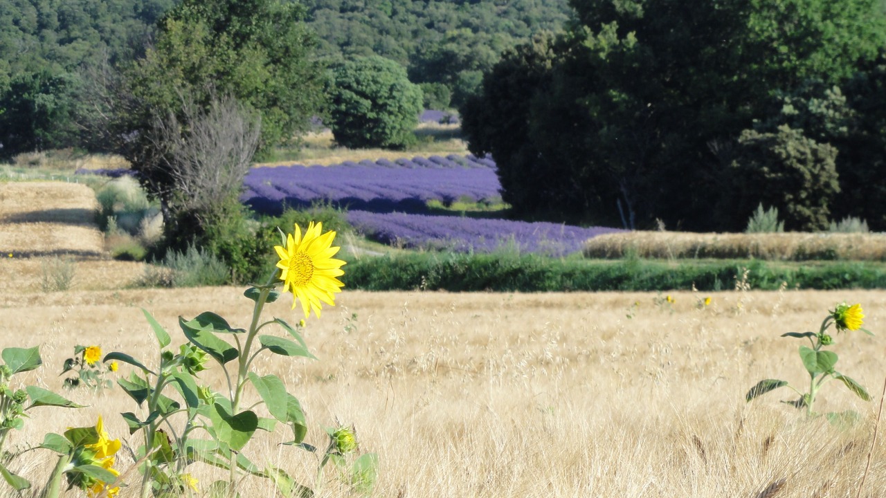 Photo of Outdoor in Reillanne