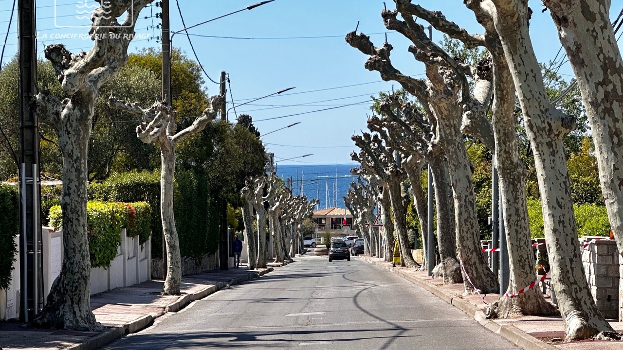 Photo of Outdoor in Carqueiranne