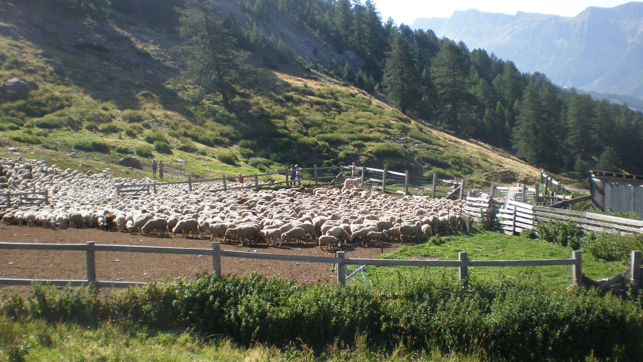 Photo of Outdoor in Molines-en-Queyras
