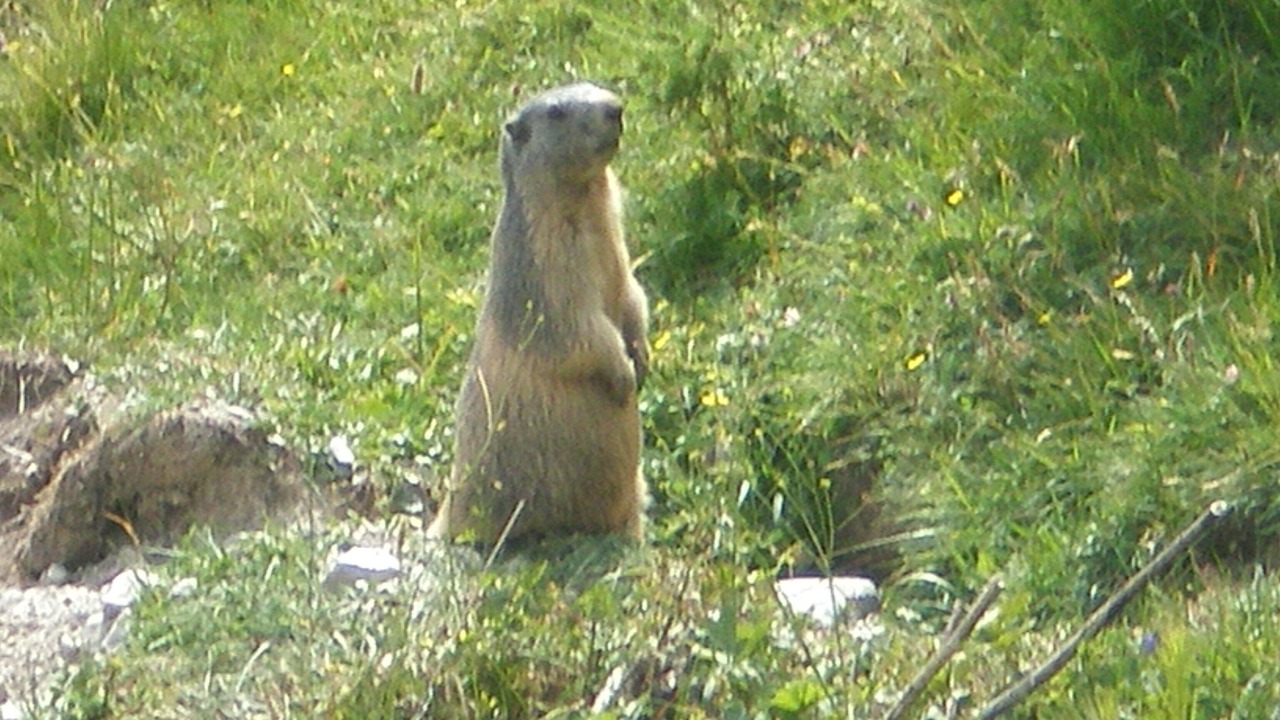 Photo of Outdoor in Molines-en-Queyras