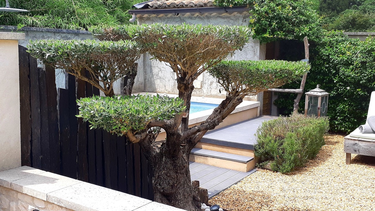 Photo of Outdoor in St.-Remy-de-Provence