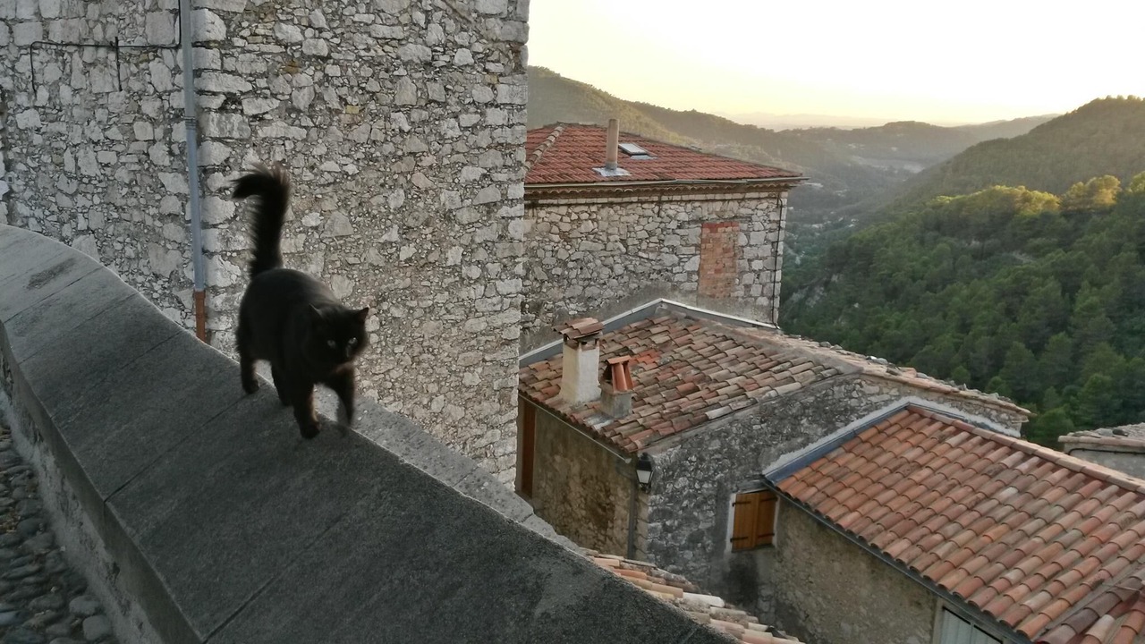 Photo of Others in Peillon