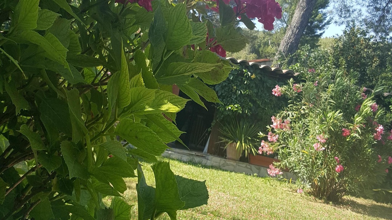 Photo of Outdoor in Le Puyricard