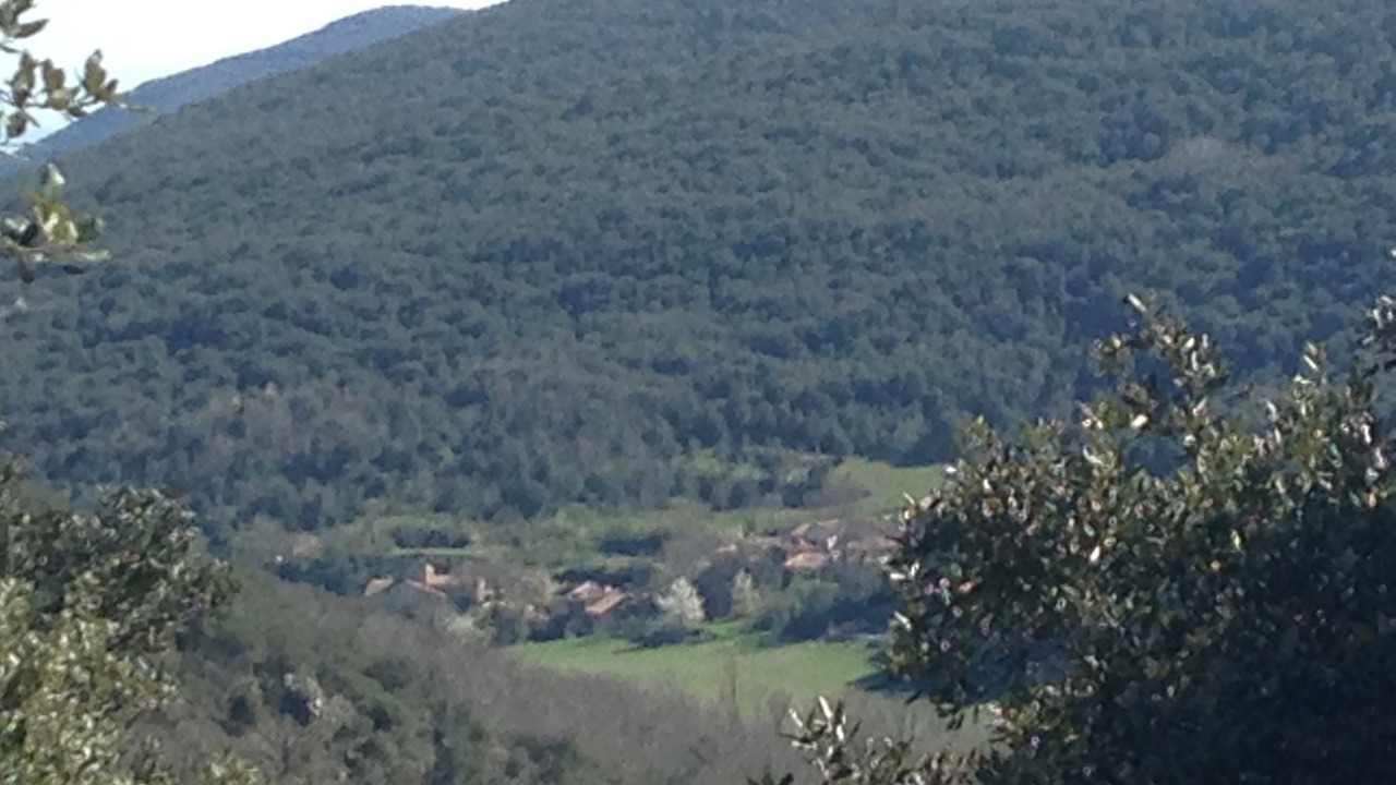 Photo of Others in Ferrieres-Poussarou