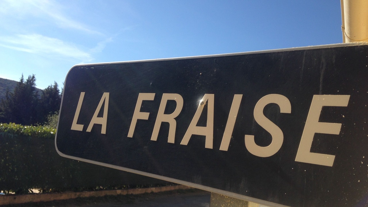 Photo of Outdoor in Ferrieres-Poussarou