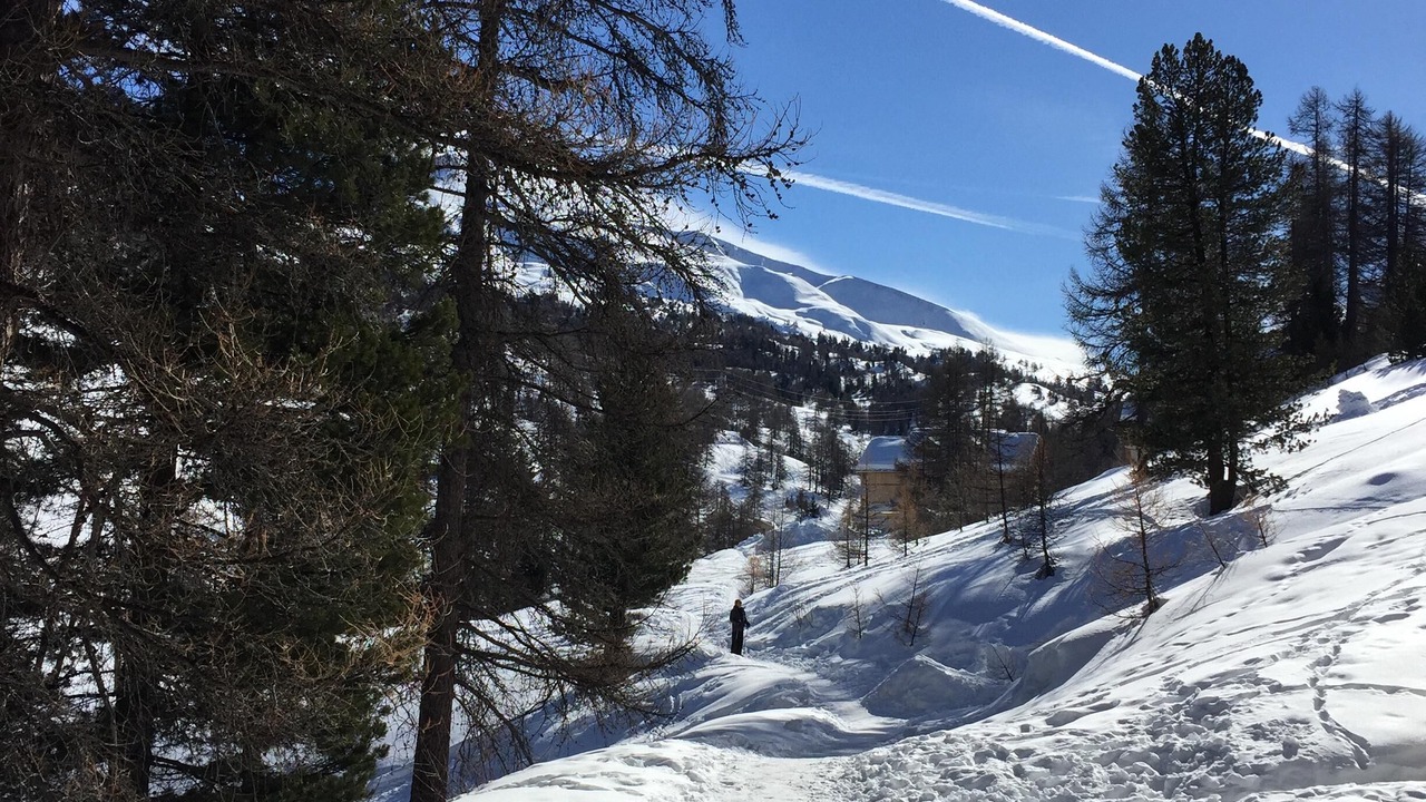 Photo of Others in Les Claux