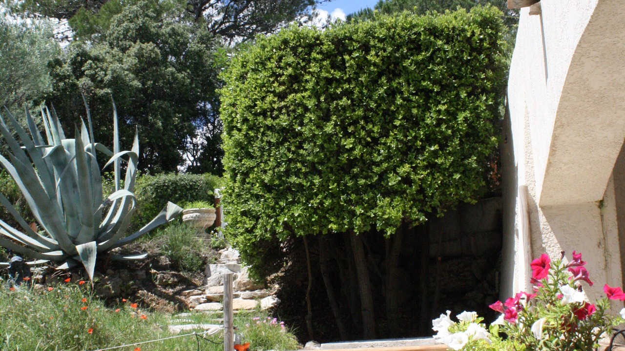 Photo of Outdoor in Flayosc