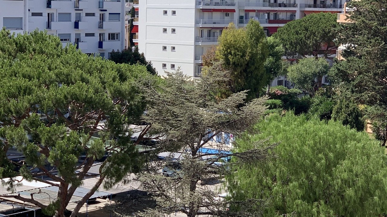 Photo of Outdoor in Cros-de-Cagnes