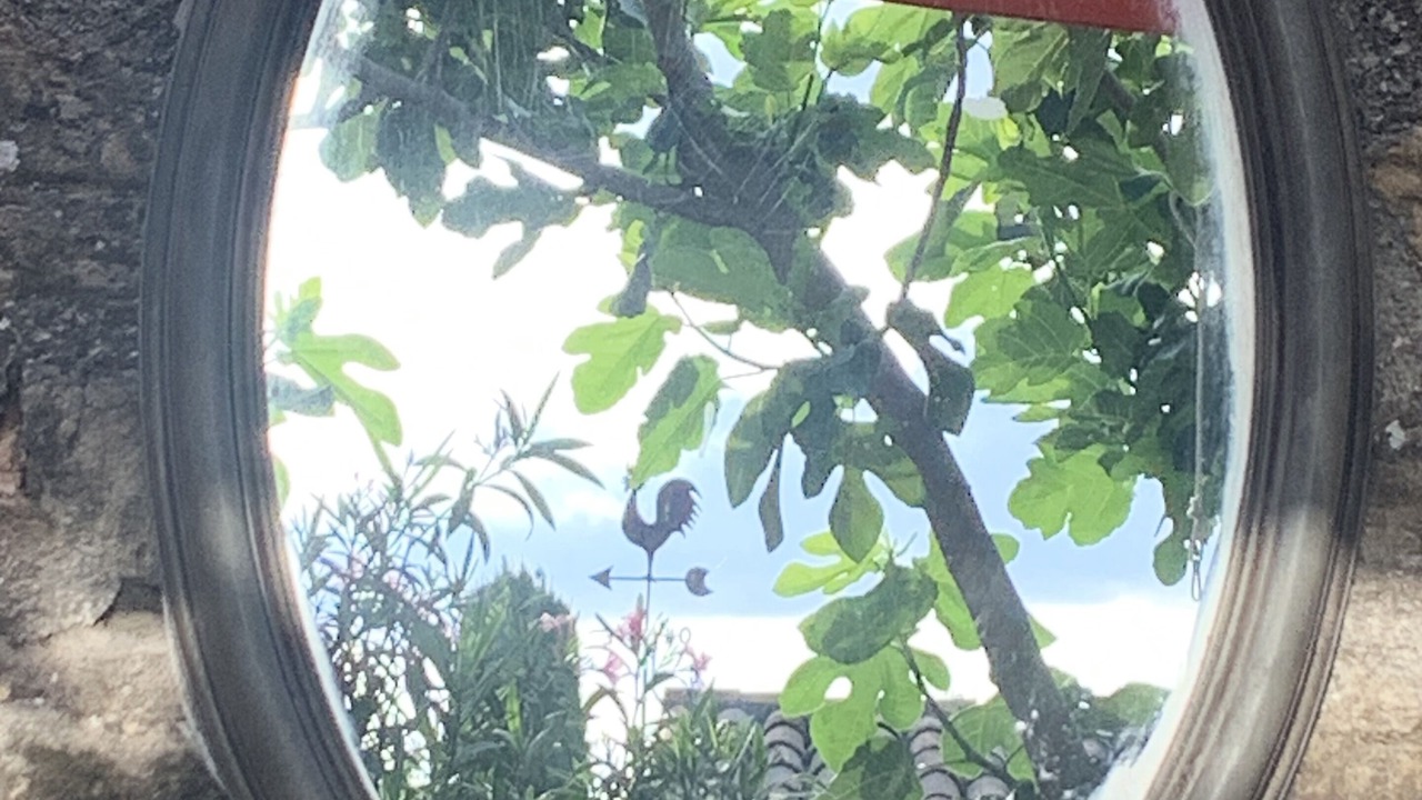 Photo of Outdoor in Peynier