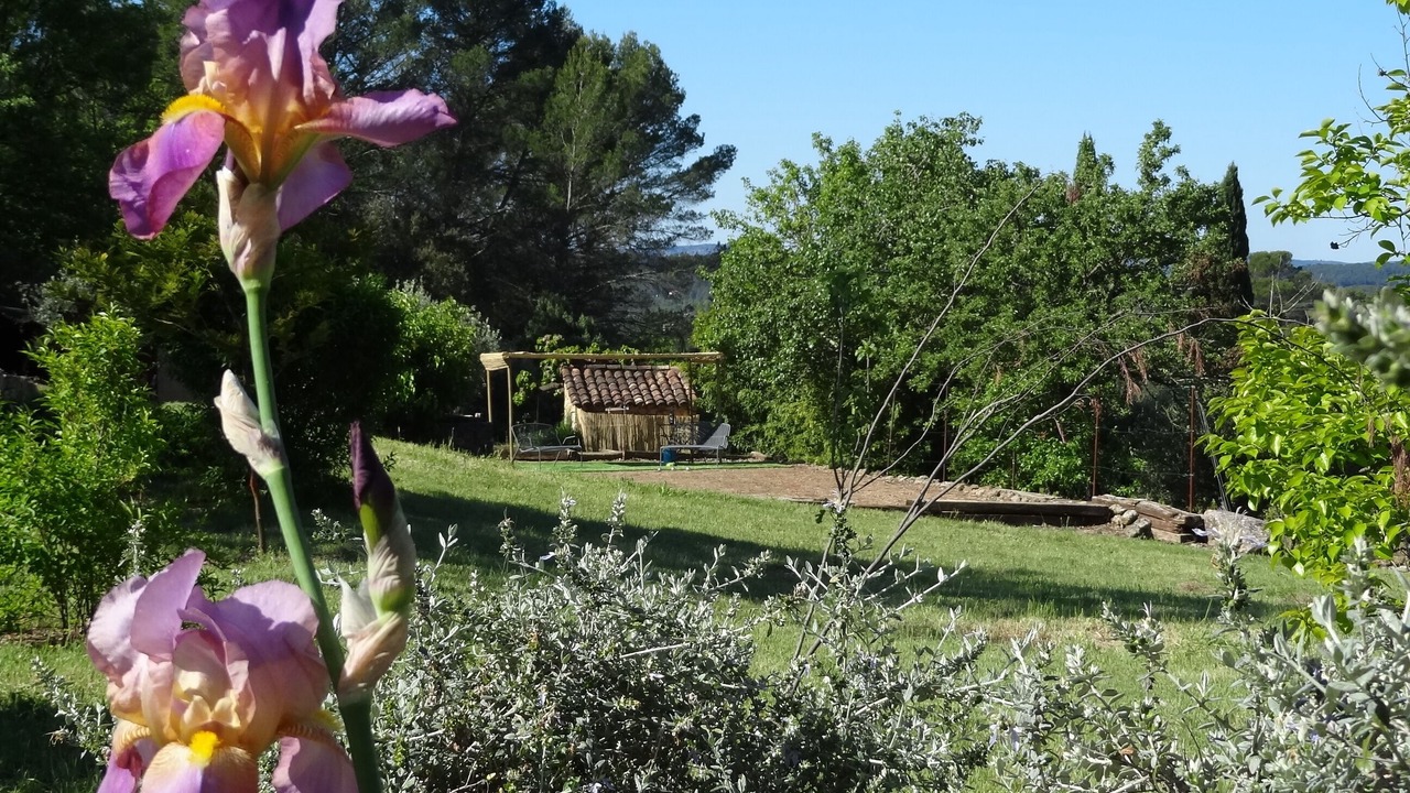 Photo of Outdoor in Lorgues