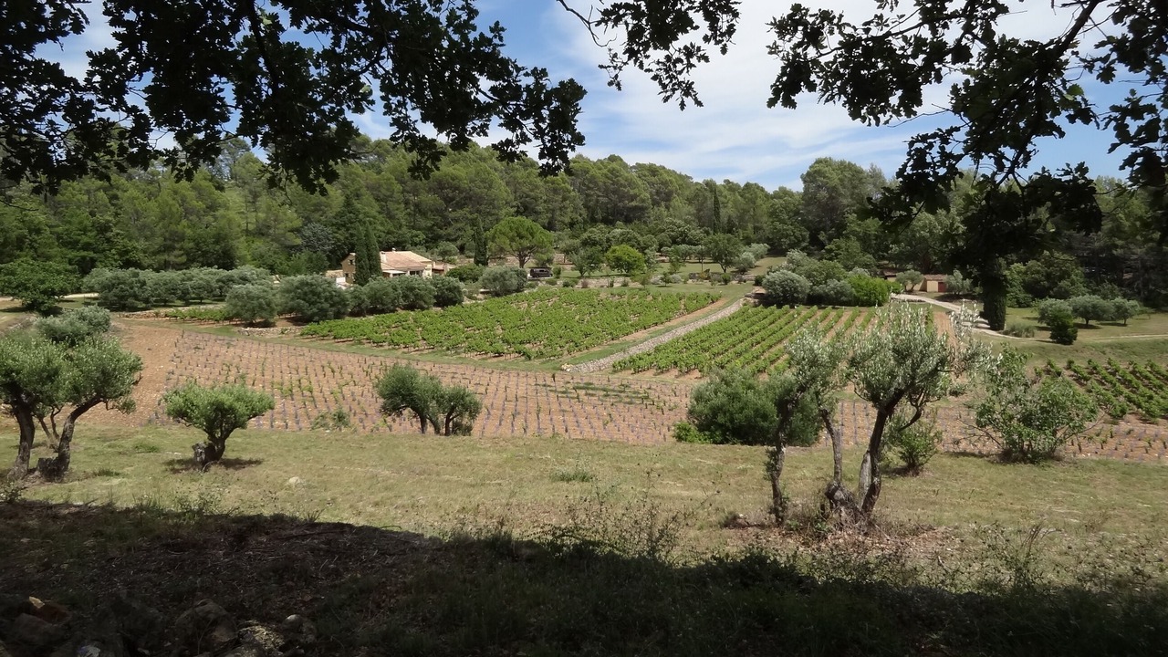Photo of Outdoor in Lorgues