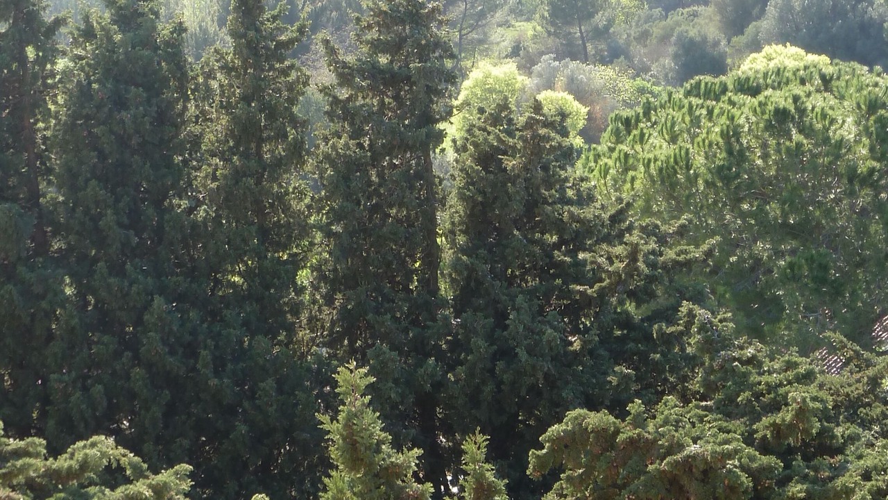 Photo of Others in Miramas le Vieux