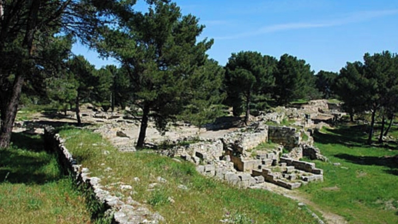 Photo of Others in Istres