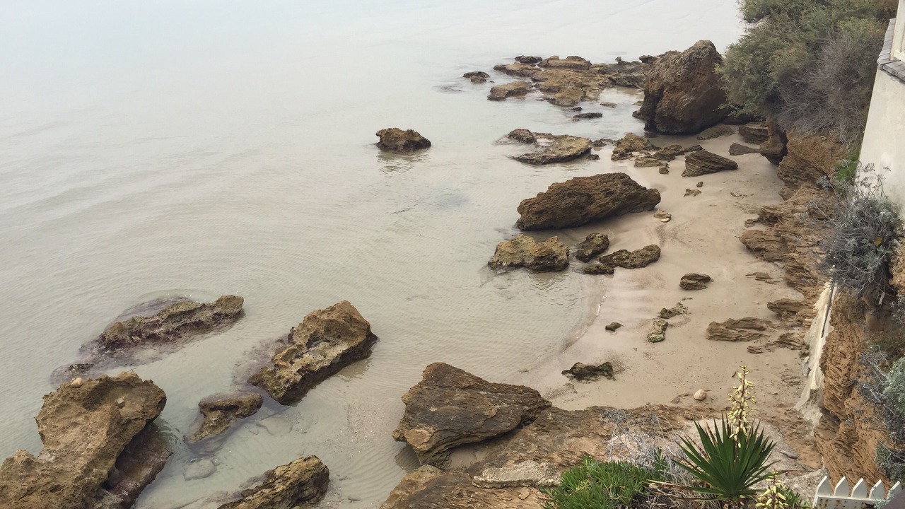 Photo of Others in Saint-Cyr-sur-Mer