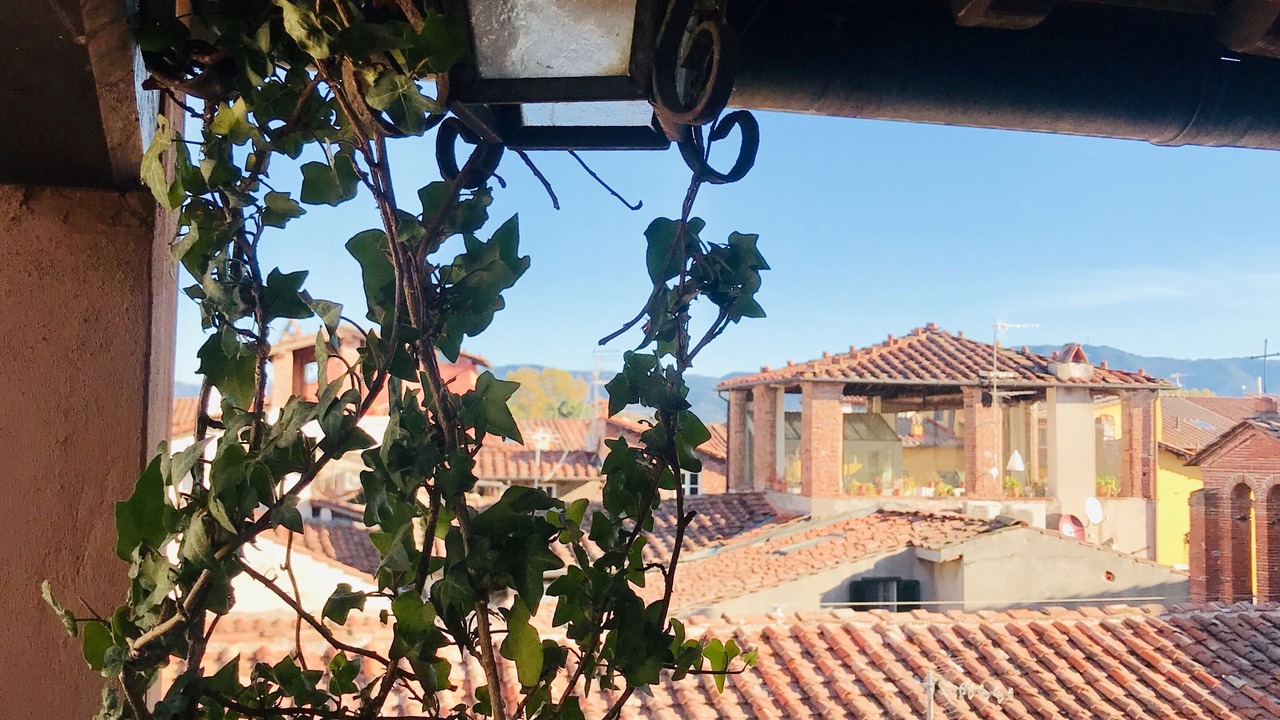 Photo of Others in Lucca Historical Center