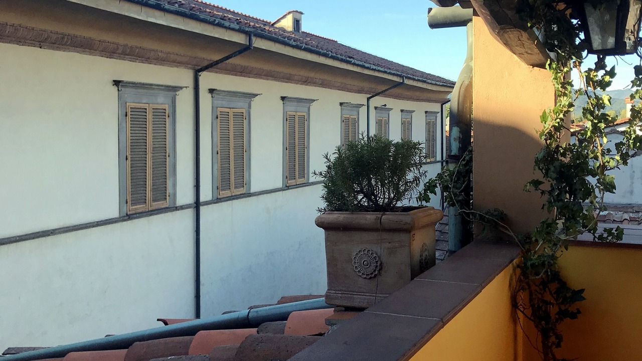 Photo of Others in Lucca Historical Center