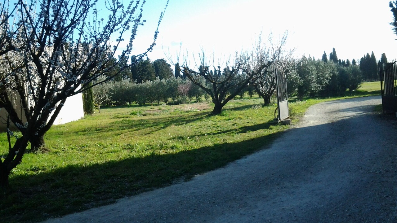 Photo of Outdoor in Maillane