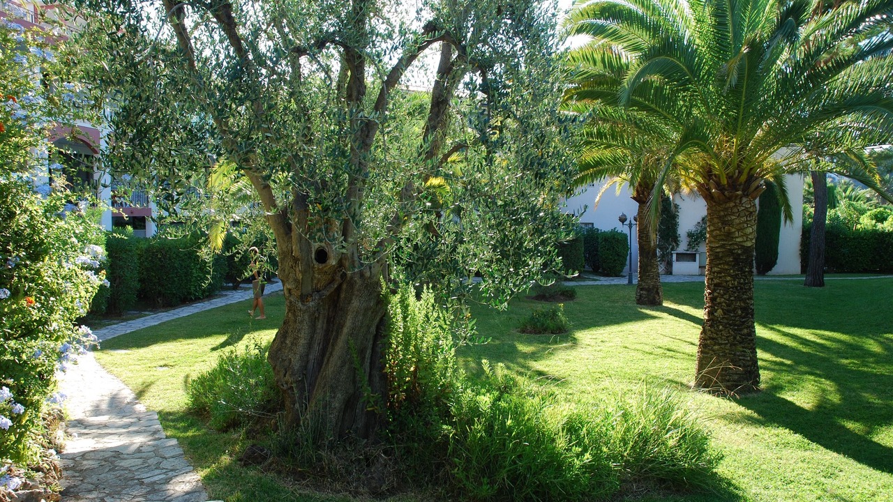 Photo of Others in Villefranche-sur-Mer