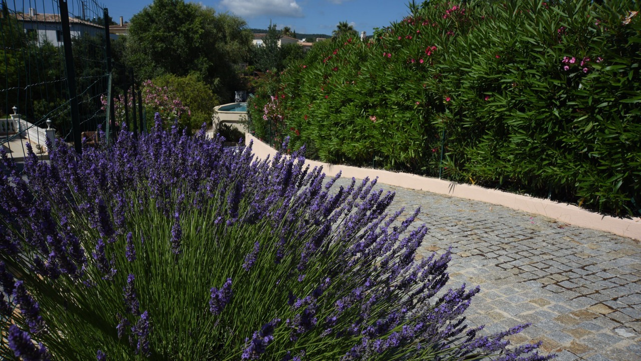 Photo of Outdoor in Saint-Aygulf